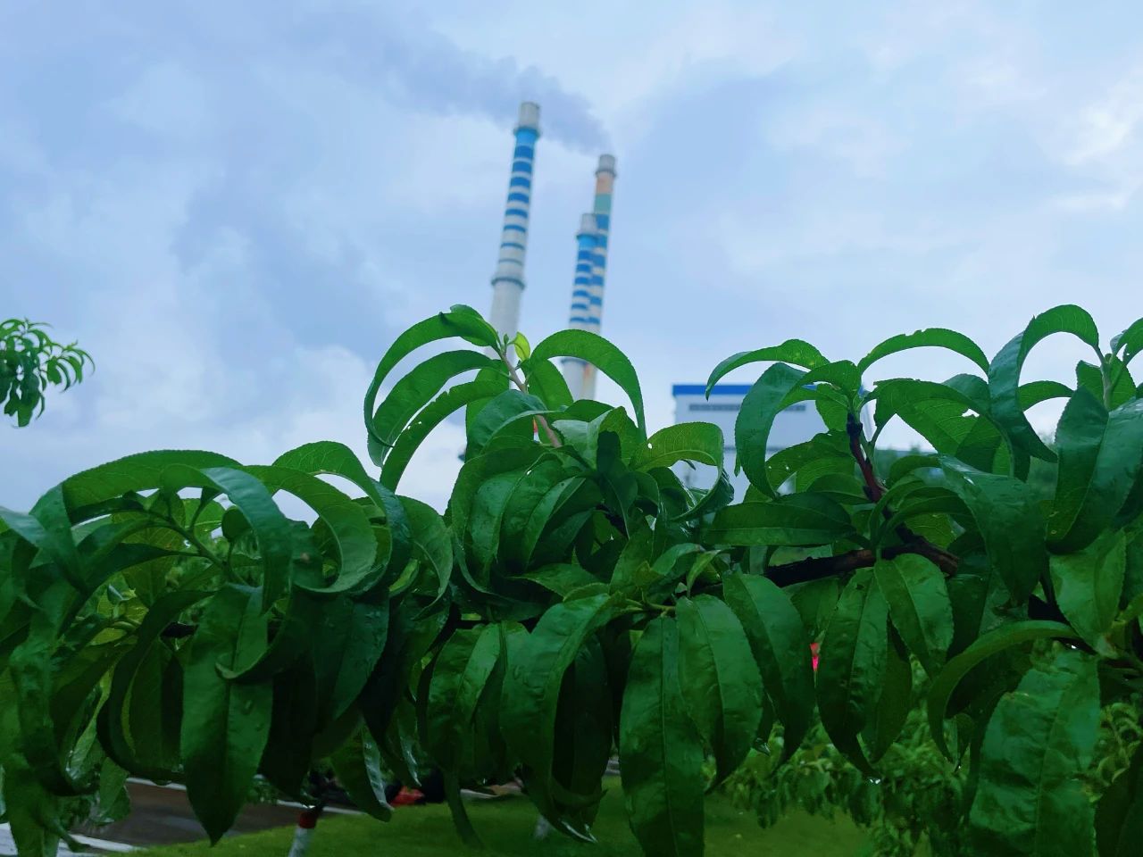 151752545888164917.jpg 微信图片_20250707081303(1).jpg