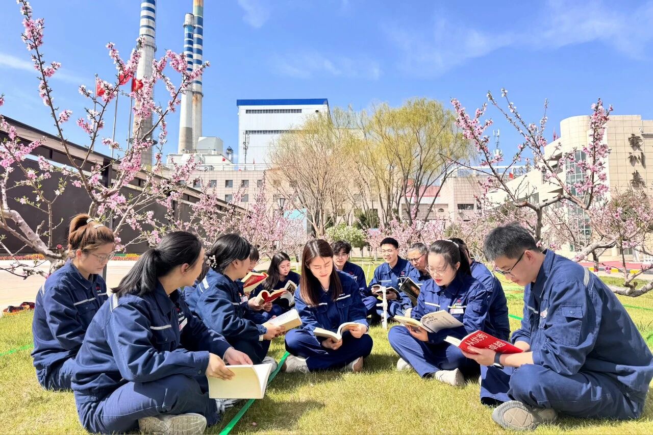 221763771991105589.jpg 微信图片_20251121091012.jpg