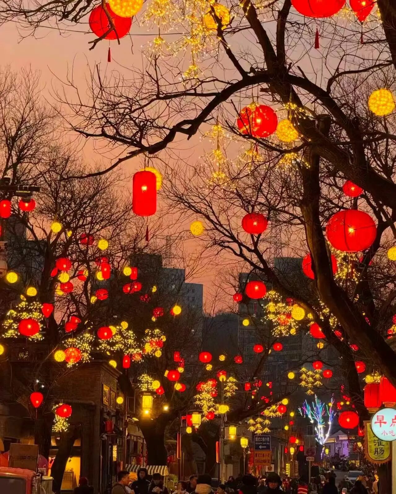 131770972983169242.jpg 微信图片_2026-02-13_165542_718.jpg