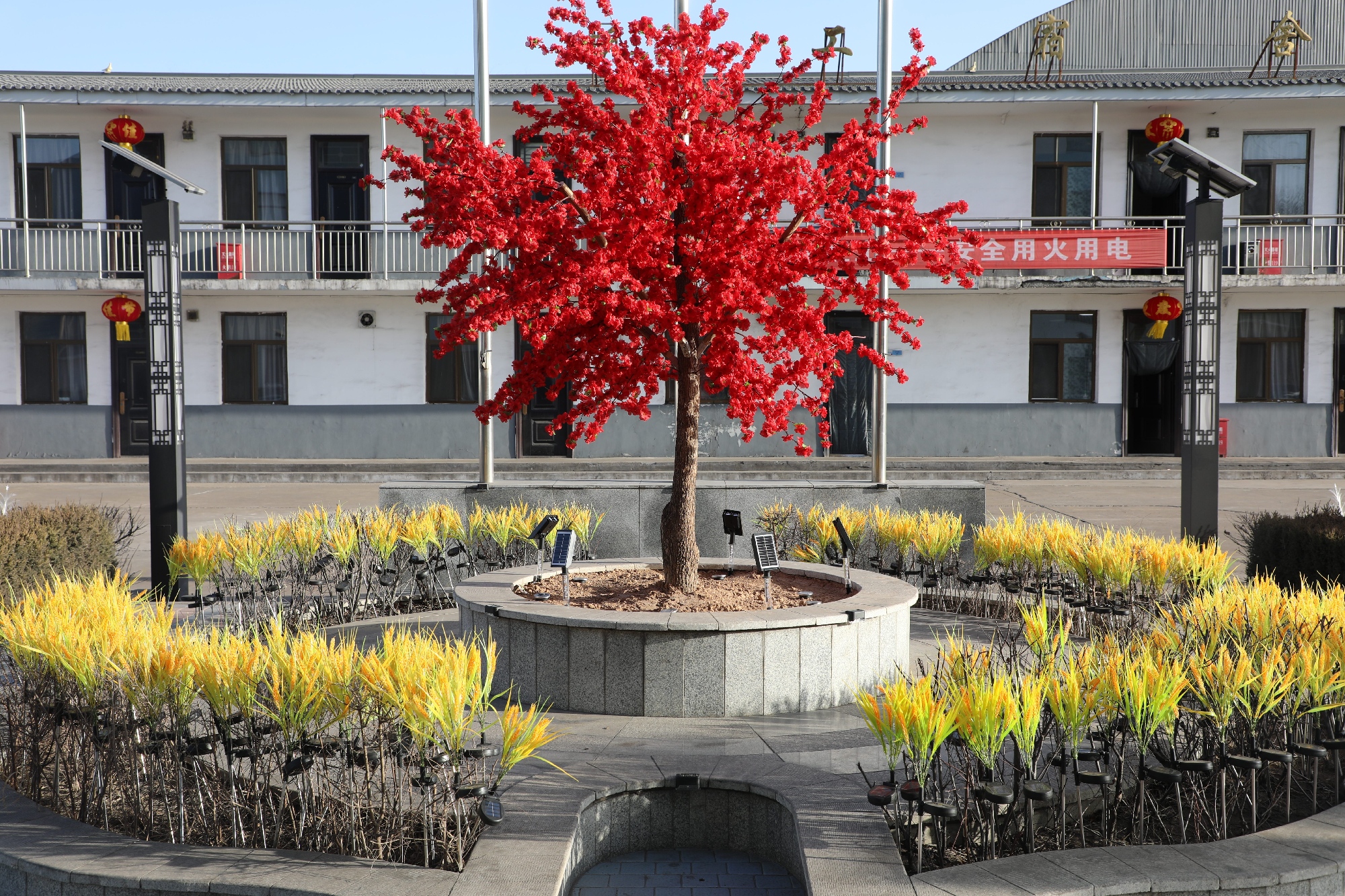 161771219342154198.jpg 微信图片_20260216131117_948_523(1).jpg