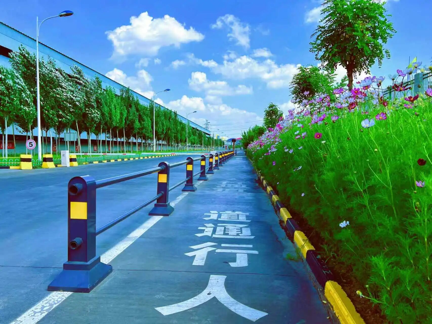 091773017096165426.jpg 微信图片_2026-03-09_084301_100.jpg