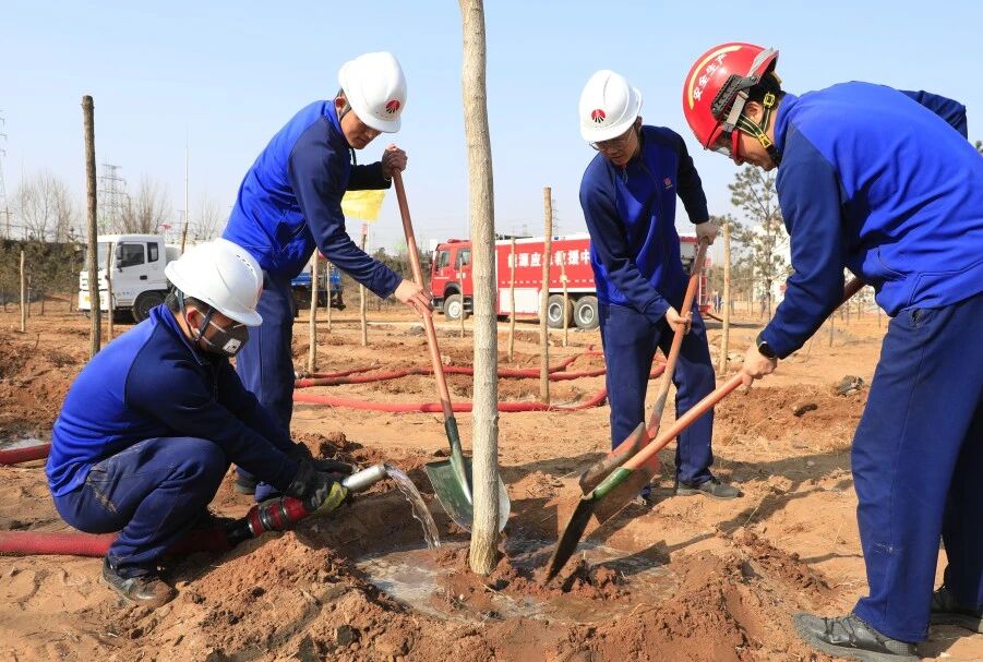 131773364951140383.jpg 微信图片_2026-03-13_092153_986.jpg