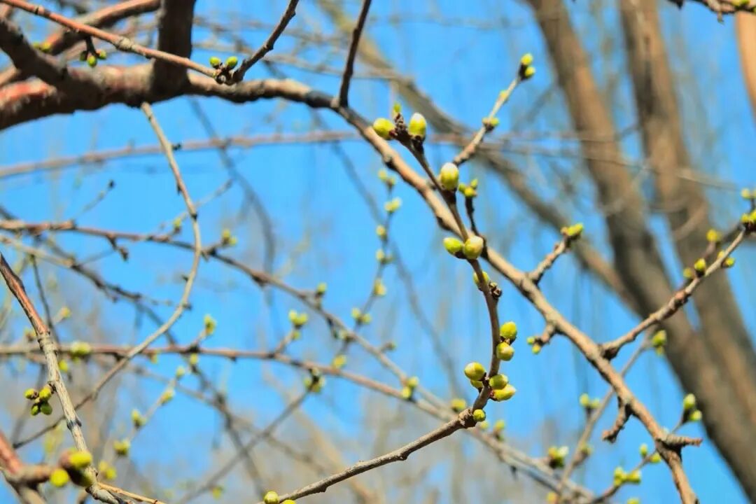 251774402693202478.jpg 640 (2).jpg