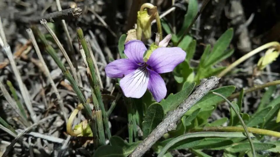 081775609622517462.jpg 微信图片_2026-04-08_085132_731.jpg